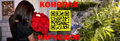 спиды Ярославль
