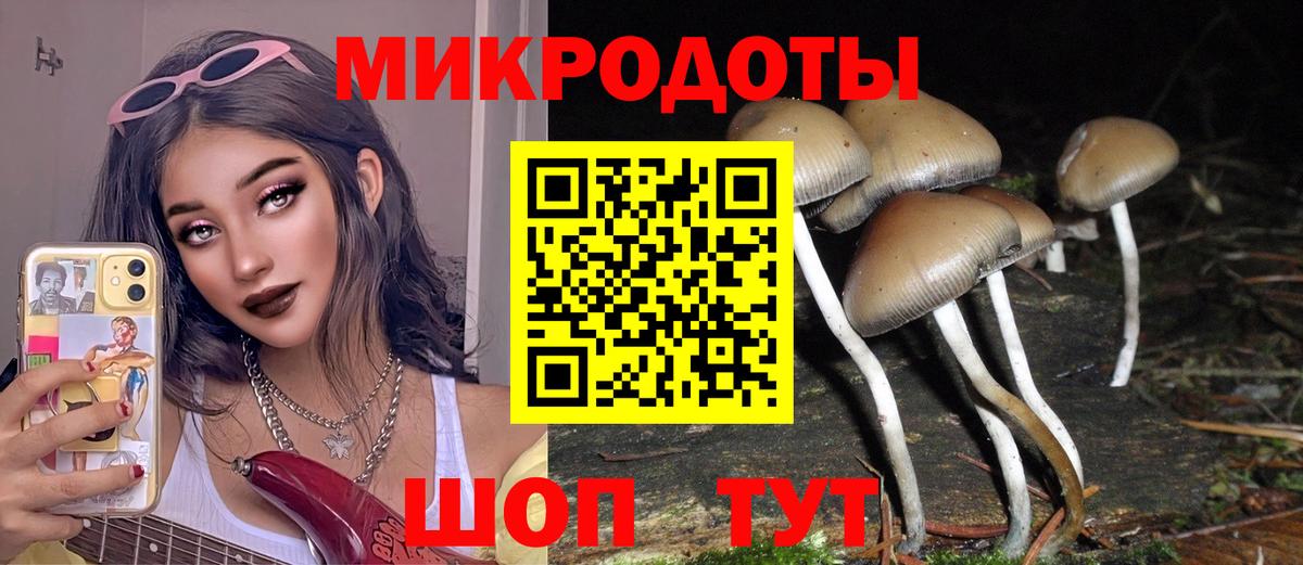 Бор  Псилоцибиновые грибы мицелий  Вход с VPN 