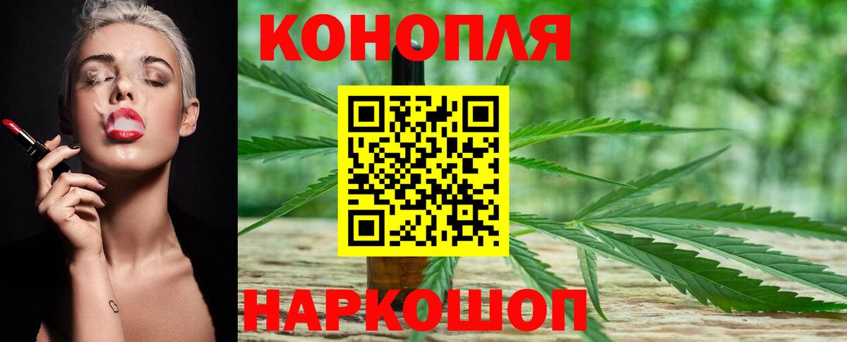 Каннабис планчик Бор